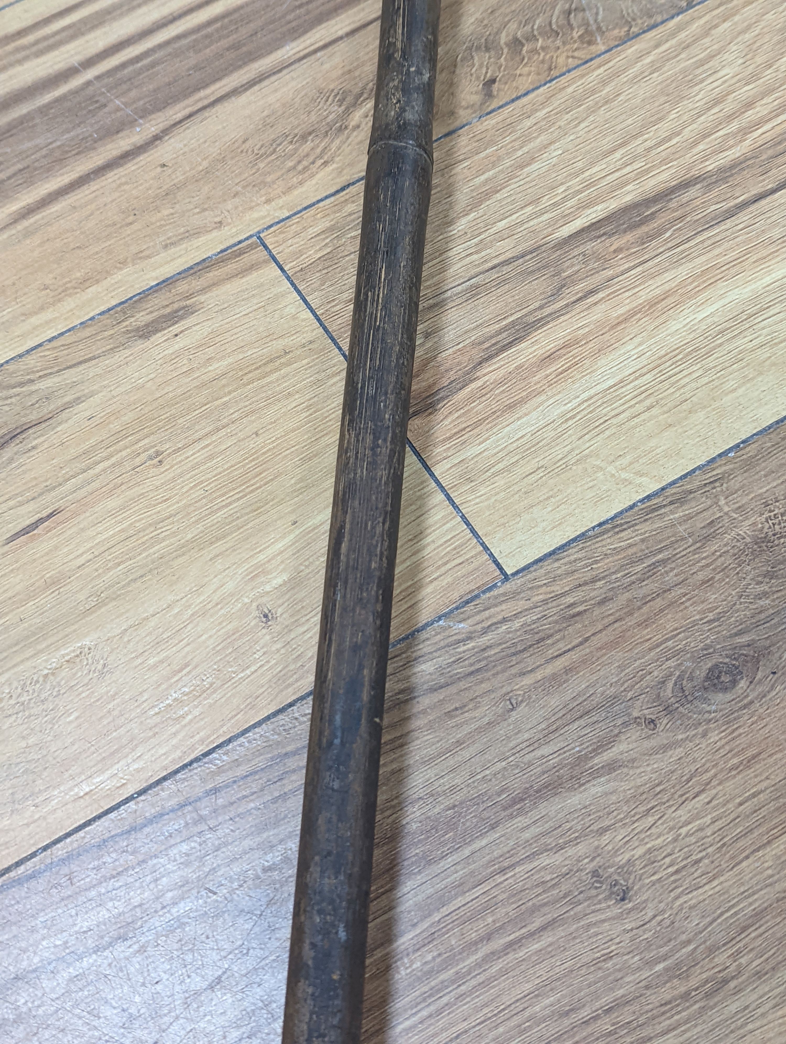 Two East Africa, Transvaal (Zululand) spears, 236cm